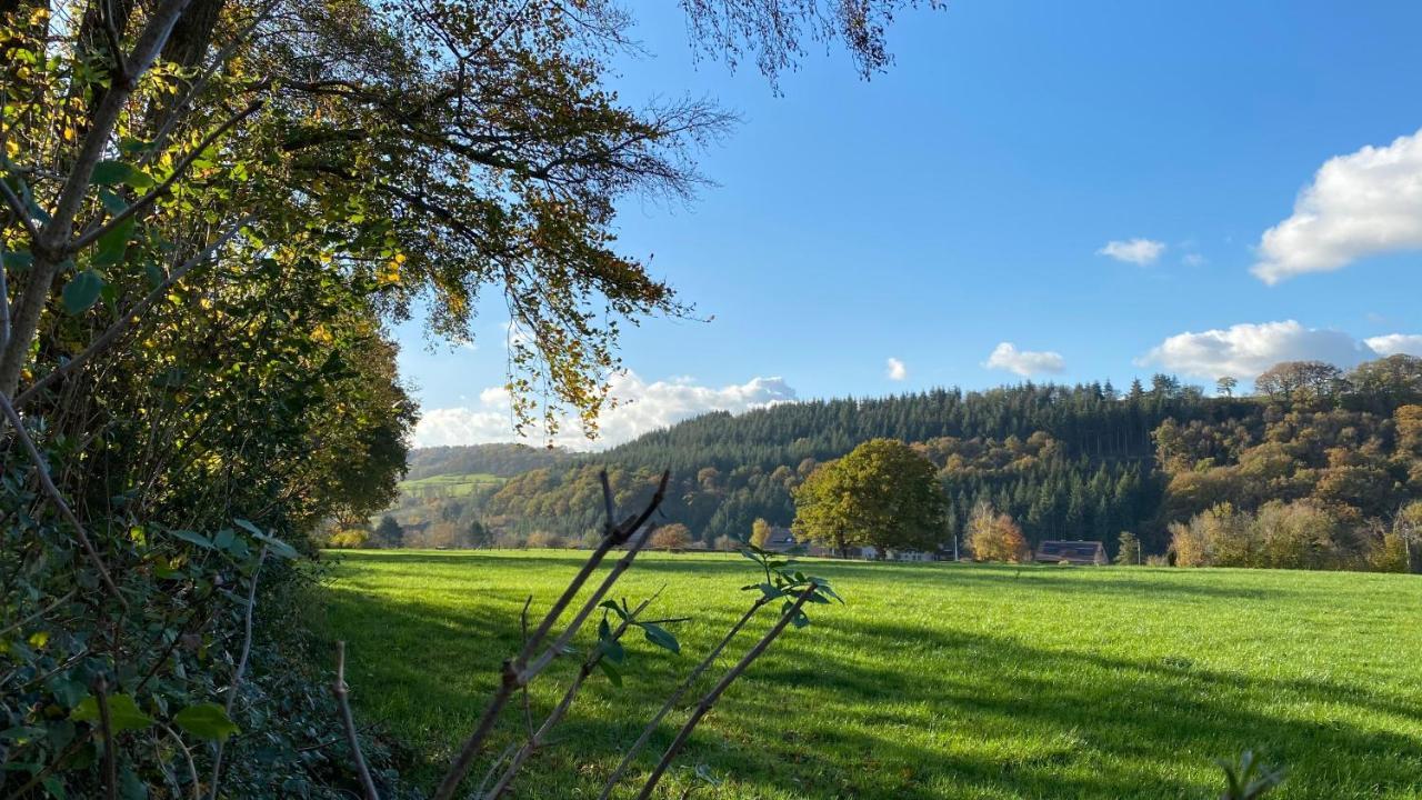 Vila Le Brame Du Cerf Theux Exteriér fotografie